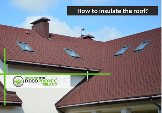 How to Protect Your Roof in Irish Weather?