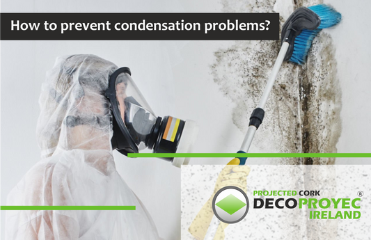How to Prevent Condensation Problems in Your Home.
