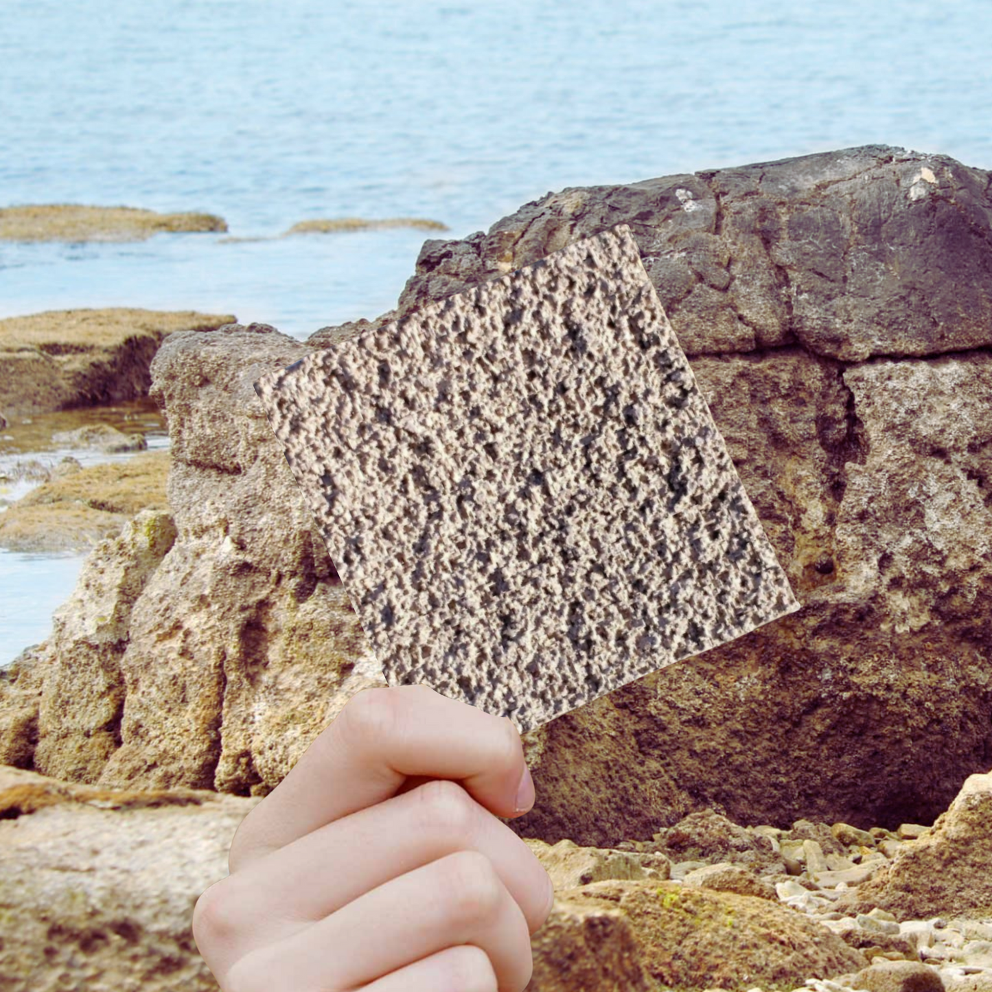 Decoproyec - Spray Cork